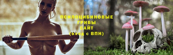 твердый Аркадак