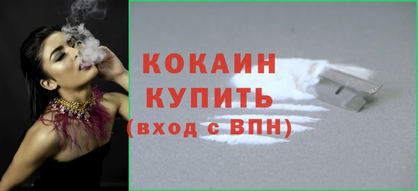 твердый Аркадак