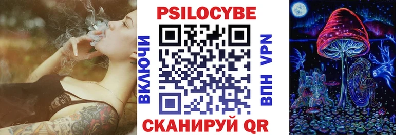 где найти наркотики  blacksprut ссылка  Псилоцибиновые грибы Psilocybine cubensis  Белая Холуница 