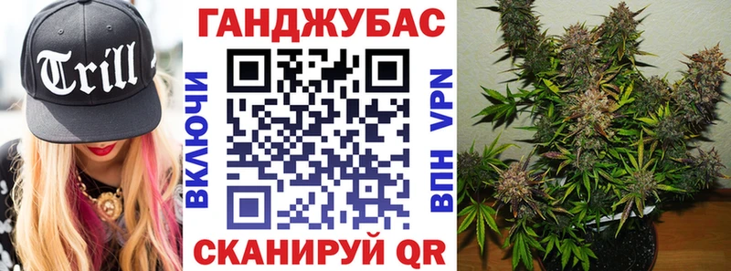 Конопля планчик  Белая Холуница 